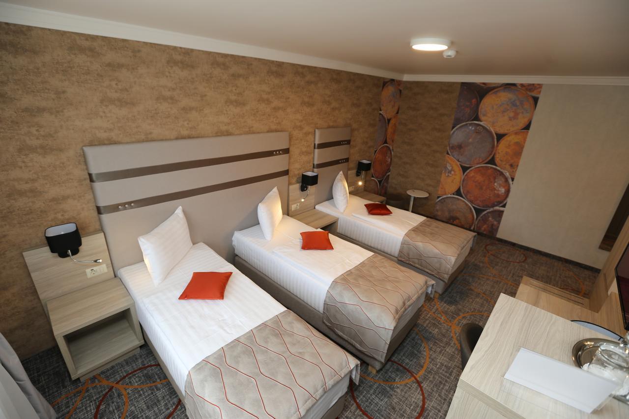Hotel Baril Hateg Exterior photo