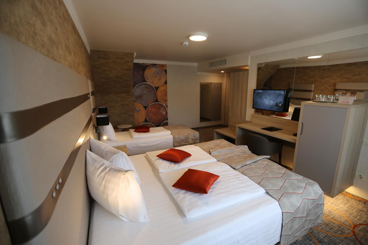 Hotel Baril Hateg Exterior photo